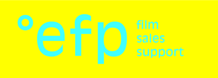 Logo EFP FSS horizontal blue on yellow